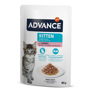 Advance Kitten Peru em molho saquetas